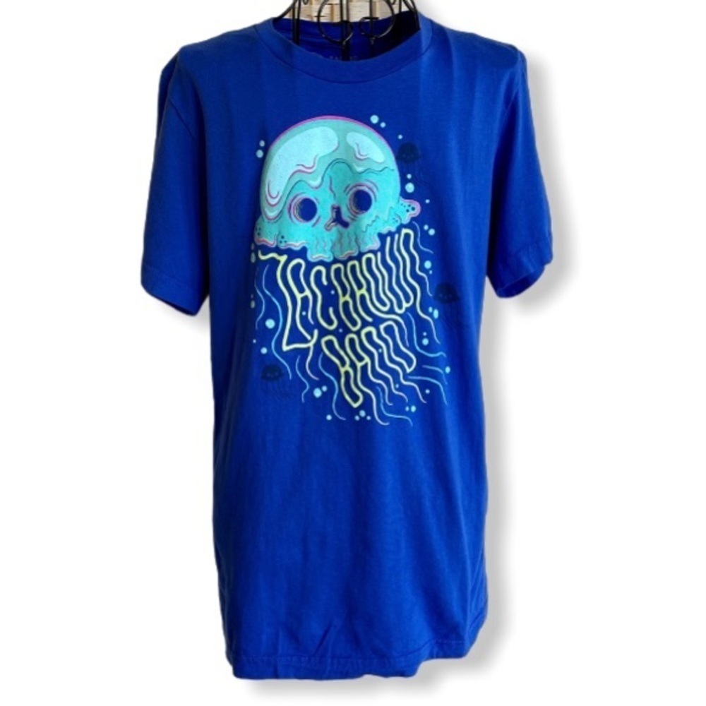 Zac Brown Band Owl Tour 2019 T-shirt Blue Size Small